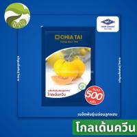 ราคา เมล็ดพันธุ์ เมล่อนลูกผสม โกลเด้นควีน ลอตล่าสุด❗️❗️ (42008411217)