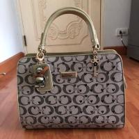 ราคา กระเป๋าถือ/สะพาย ใบใหญ่ CHERITAN (1580177662)