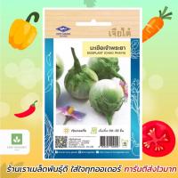 ราคา มะเขือเปราะ เจ้าพระยา เจียไต๋ เมล็ดพันธุ์มะเขือเปราะ มะเขือ (913393766)