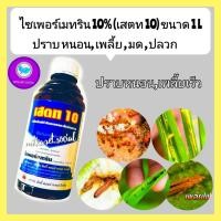 ราคา ไซเพอร์เมทริน10% ยาฆ่าแมลง ยาฆ่าหนอน ยาฆ่าเพลี้ย ยากำจัดหนอน ยากำจัดเพลี้ย 1 ลิตร กำจัด มด ปลวก แมลงวัน ยุง เห็บ (3549723169)