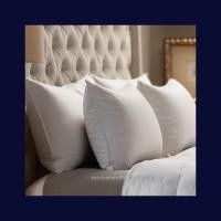 ราคา หมอนหนุนขนเป็ดแท้ HOMEMATT แบบ 1 คิ้ว (1,400 g) (976087277)