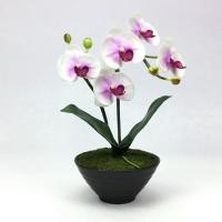 ราคา OrientalFineArt กระถางกล้วยไม้ปลอมphalaenopsis สีสวยเหมือนจริง สำหรับประดับตกแต่งเพื่อความสวยงาม( AM-13-B F36) (6741036218)