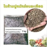 ราคา ใบก้ามปูหมักร่อนละเอียด 1 kg. (29236851602)