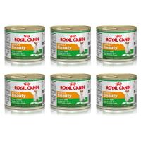 ราคา Royal Canin รอยัลคานิน อาหาร สุนัขพันธุ์เล็ก สูตรบำรุงขนและผิวหนัง 195 กรัม (6 กระป๋อง) (1141052183)