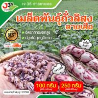 ราคา เมล็ดพันธุ์ ถั่วลิสงลายเสือ ถั่วลิสง เต็มเม็ดเต็มฝัก ถั่วจัมโบ้ ถั่ว พันธุ์ถั่วเสือ (29111441346)