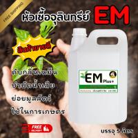 ราคา หัวเชื้อ จุลินทรีย์ อีเอ็ม EM Plus+ ชีวภาพ ขนาด 5 ลิตร ส่งฟรี (28775489944)