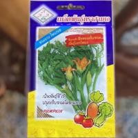 ราคา ฟักทองเก็บยอด (Pumpkin) พันธุ์เถาว์ทอง (5064821496)