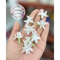 ราคา ดอกมะลิบาน ดอกมะลิบานปลอม ดอกมะลิจากกระดาษทิชชู่ ดอกละ 9 บาท (17042788522)