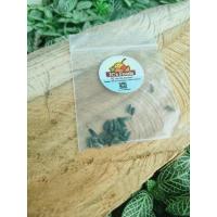 ราคา เมล็ดพันธุ์ทานตะวัน เทดดี้แบร์ Teddy Bear Sunflower ซองละ 39บาท 15 เมล็ด ต้นสูงประมาณ 30-40เซน (22638953453)