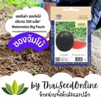 ราคา เมล็ดพันธุ์ แตงโมดำ 250 เมล็ด ซองจัมโบ้ เพิ่มปริมาณมากกว่า 3 เท่า!ตราเจียไต๋ Watermelon (464530484)
