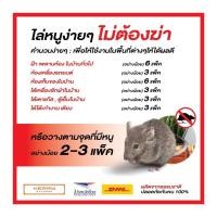 ราคา ไล่แมลง สมุนไพรวางไล่หนู ไม้ไล่หนู 6 ก้อนใหญ่ BIG SIZE เห็นผลไว ใช้ได้นาน 90 วัน (25983398815)