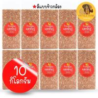 ราคา ข้าวกล้อง ข้าวเหนียวกล้อง ข้าวเหนียวแดงมันปู 10 กิโลกรัม (ข้าวใหม่ 2567) (25359137476)