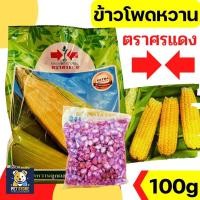 ราคา SN [100gแบ่งบรรจุ] เมล็ดพันธุ์ ศรแดง ข้าวโพดหวาน ข้าวโพด ลูกผสม จัมโบ้สวีท หวาน ปลูกง่าย 1KG EXP 1/69 (27637234323)