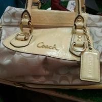 ราคา Coachแท้สีเหลืองราคา550 (7716061635)