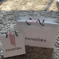 ราคา ถุงกระดาษ pandora เหมา 2 ใบ (5513824013)