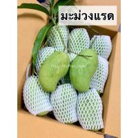ราคา มะม่วงแรด มะม่วงเปรี้ยวสามรส กินน้ำปลาหวาน (25201933945)