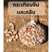 ราคา กระเทียมจีนแกะกลีบ 500 กรัม กลีบใหญ่ คัดคุณภาพ (27369682223)