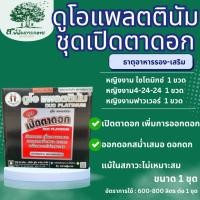 ราคา ชุดเปิดตาดอก หญิงงาม ดูโอแพลตตินัม เปิดตาดอก เพิ่มการออกดอก ออกดอกสม่ำเสมอ (29555143025)