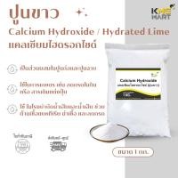 ราคา แคลเซียมไฮดรอกไซด์ (ปูนขาว) Calcium Hydroxide (Hydrated Lime) - 1 กก. (4999323845)
