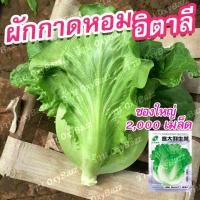 ราคา ลด 50% ใส่โค้ด INCLZ33 เมล็ดพันธุ์ผักกาดหอมอิตาลี 2,000เมล็ด เมล็ดผักสลัดอิตาลี เมล็ดผักกาดหอมอิตาลี (15395006100)