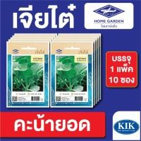 ราคา เมล็ดพันธุ์ ผักซอง คะน้ายอด ตราเจียไต๋ CT15 บรรจุแพ็คล่ะ 10 ซอง ราคา 80 บาท (21275352466)