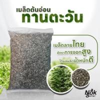 ราคา เมล็ดต้นอ่อนทานตะวัน 1 กก. เมล็ดทานตะวันลายไทย/ลายใหญ่(นำเข้า) เมล็ดทานตะวันเพาะงอก อัตราการงอกสูง (18187320783)