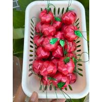 ราคา เหรียญโปรยทาน แอปเปิ้ล (27762521538)