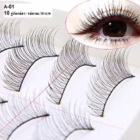 ราคา ขนตาปลอม 10คู่ต่อกล่องรหัสA-01 แบบบางธรรมชาติ (707550226)