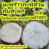 ราคา มะพร้าวกะทิ สวนทับสะแก (จัดส่งทุกวัน) (6542173896)