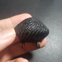 ราคา เบี้ยแก้ หลวงปู่เจือ วัดกลางบางแก้ว แท้ทัน (12190377796)