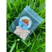 ราคา เมล็ดพันธุ์แตงไทยลูกกลม เหมาะสำหรับเพาะปลูก ซองละ 29บาท (22525832657)