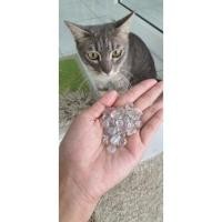 ราคา แทนซาไนท์ tanzanite (11147874044)