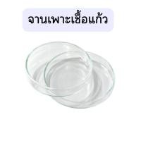 ราคา จานเพาะเชื้อแก้ว ยี่ห้อ ANUMBRA (22176942704)