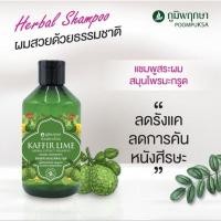 ราคา แชมพูมะกรูดภูมิพฤกษา (27074178618)