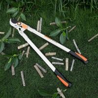 ราคา กรรไกรแต่งกิ่ง การประกันคุณภาพ ตัดกิ่งไม้ ​กรรไกรตัดกิ่ง ตัดแต่งกิ่งไม้สูงกรรไกร เครื่องมือทำสวน Made in Japan กรรไกรตัด (26607151991)