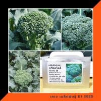 ราคา บล็อคโคลี่ พันธุ์ วอทัม29 - Waltham29 Broccoli บรรจุชุดละ 400 เมล็ด ของแท้ 100% (5133262825)