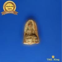 ราคา พระรอด เนื้อดิน หลวงพ่อกวย วัดโฆสิตาราม จ.ชัยนาท เก่า (23276051128)