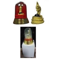 ราคา พญานาคราช มหากายสิทธิ์ เนื้อทองทิพย์ ขนาดบูชา บรรจุแร่กายสิทธิ์ ฝังตะกรุด อุดผงพุทธคุณ หลวงปู่อ่อง วัดโคกเลาะ (5363622133)