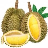 ราคา ทุเรียนหมอนทองสวนน้องเปาคุง (27688788303)
