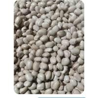 ราคา เมล็ดพันธุ์ ถั่วครก ถั่วขอ สำหรับปลูก 10-13 เม็ด 39 บาท (7182785689)