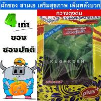ราคา เมล็ด เมล็ด AAA ผักเพาะ 3A J031 #กวางตุ้งเพาะ ผักเพาะตั้ง ผักเพาะจัมโบ้ ผักผัก AAA สามเอ ผักราคาอินทรีย ผั (22140279029)