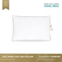 ราคา Luxury หมอนโรงแรม 6 ดาว หมอนคอลลาเจน รุ่น Standard Comfort (17740448622)