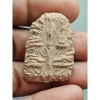 ราคา พระเจ้าห้าพระองค์ เนื้อว่านสบู่เลือด หลังจาร หลวงปู่หมุน วัดเขาแดงตะวันตก พัทลุง (รอยแมลงแทะ) A050568 (26886101478)