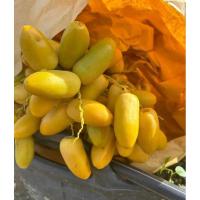 ราคา อินทผาลัมสายพันธุ์ฮัสซาวี่ อินทผาลัมสด (28404396188)