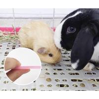 ราคา แผ่นรองพื้นกรง 34*25ซม แผ่นรองกรง แผ่นรองเท้ากระต่าย สัตว์ฟันแทะ หนู แกสบี้ แฮมเตอร์ กระต่าย (19783793650)