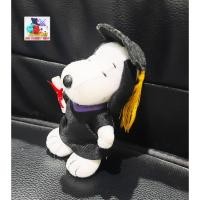 ราคา JNN Snoopy Mcdonald ในชุดบัณฑิต (41606213214)