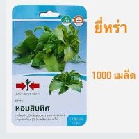 ราคา ศรแดง ยี่หร่า พันธุ์หอมสิบทิศ (1000 เมล็ด) (25691396906)