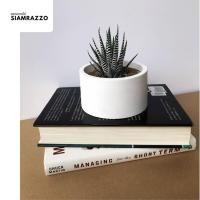 ราคา กระถางปูนเปลือย ทรงกลม ขนาด 4.5 นิ้ว กระถางต้นไม้มินิมอล โมเดิร์น เหมาะสำหรับแคคตัสและต้นไม้ขนาดเล็ก : Siamrazzo (12820144332)