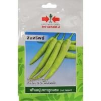 ราคา พริกหนุ่มขาว สินทรัพย์ SD/OP-025 ผักซอง ศรแดง เมล็ดพันธุ์ พริก เมล็ดพันธุ์ผัก ผักสวนครัว ผักศรแดง (23579795676)
