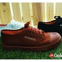 ราคา รองเท้าหนัง รองเท้านักเรียน Gold city สีน้ำตาล size 29-46 (11544340776)